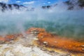 The Champagne Pool at Wai-O-Tapu or Sacred Waters Ã¢â¬â Thermal Wonderland Rotorua New Zealand Royalty Free Stock Photo